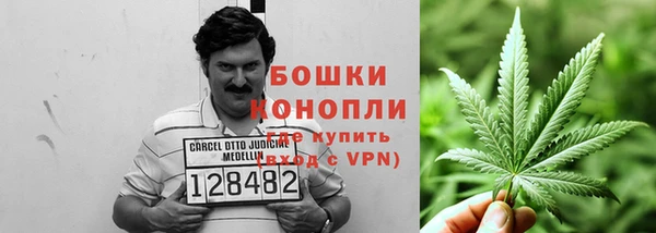 сатива Баксан