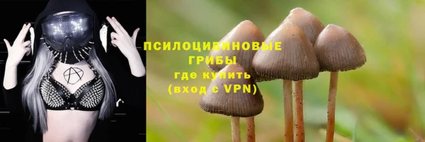 ешки Балабаново