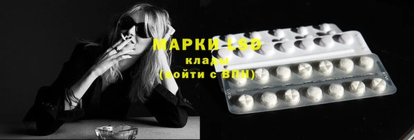 сатива Баксан