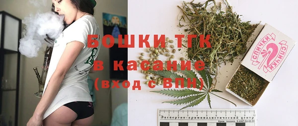сатива Баксан