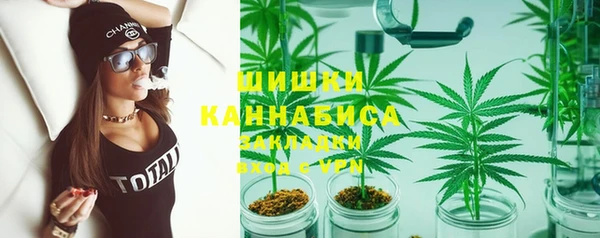сатива Баксан
