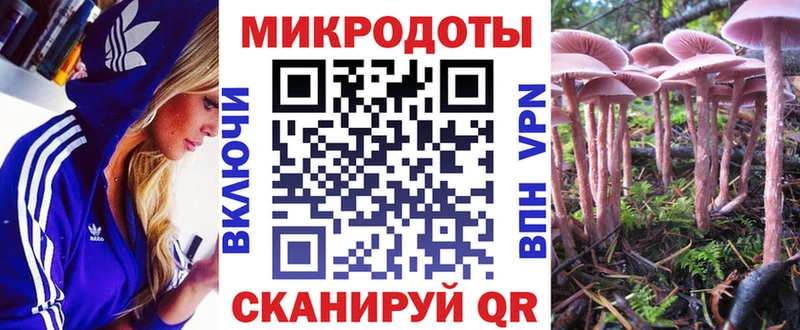 Галлюциногенные грибы Magic Shrooms  дарнет шоп  Гай 