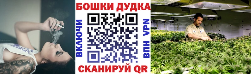 МАРИХУАНА сатива  цены   даркнет наркотические препараты  Гай 
